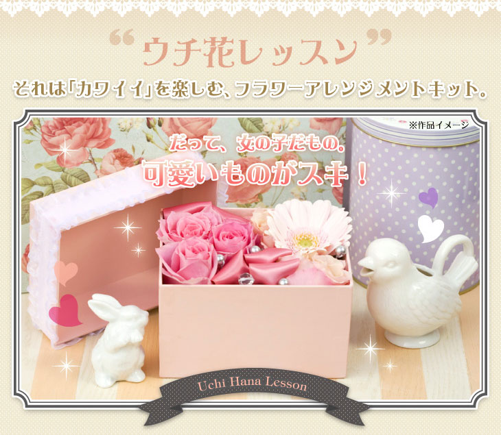 �J���C�C���y���ރt�����[�A�����W�����g�L�b�g