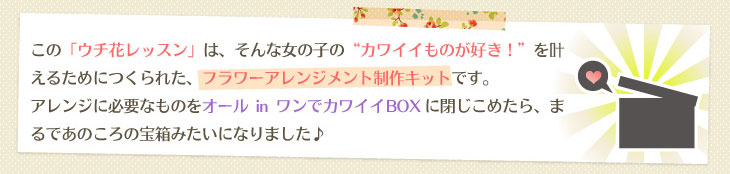 ���̎q�́u�J���C�C���̂��D���I�v�������邽�߂ɂ���ꂽ�t�����[�A�����W�����g����L�b�g