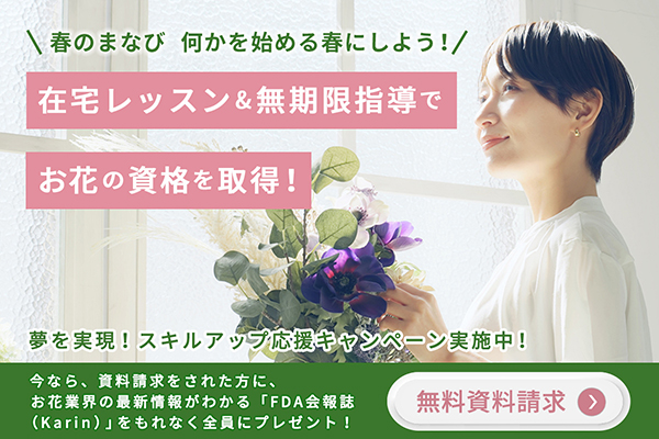 資格取得キャンペーン
