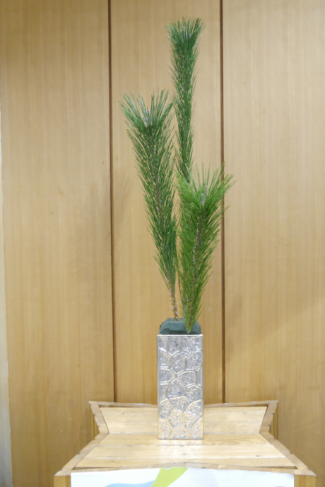 �W���̃t�����[�f�R���[�V�������������Ă����l�q �ߒ�1