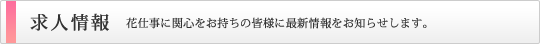 求人情報
